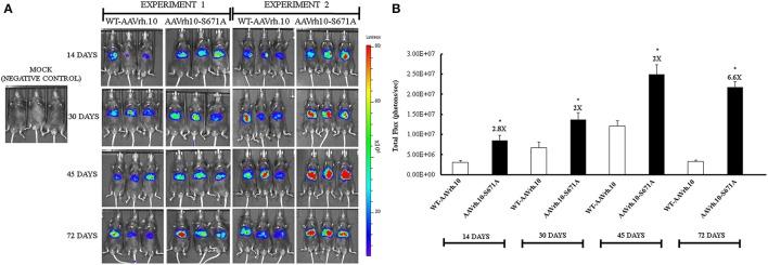 https://cdn.ncbi.nlm.nih.gov/pmc/blobs/4c06/5511854/a594783c6152/fphar-08-00441-g0003.jpg