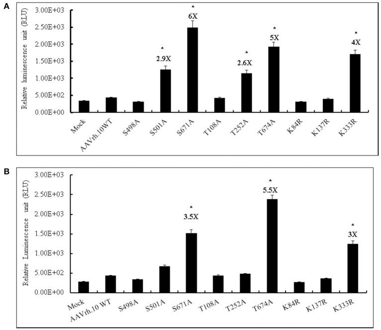 https://cdn.ncbi.nlm.nih.gov/pmc/blobs/4c06/5511854/b93c312336c4/fphar-08-00441-g0001.jpg
