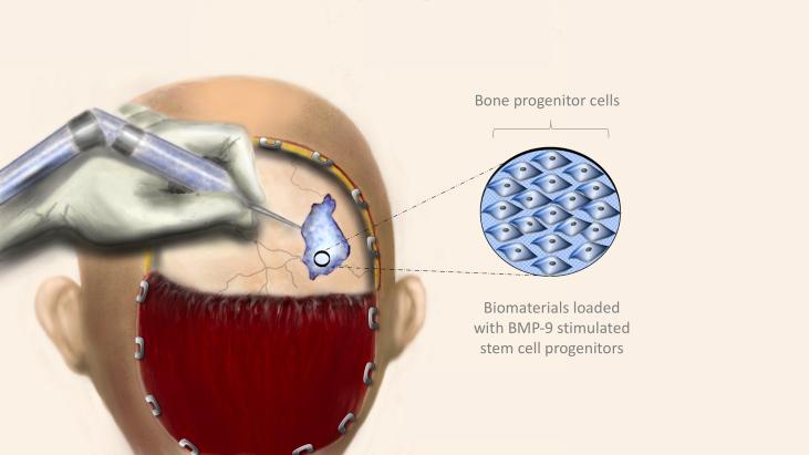 https://cdn.ncbi.nlm.nih.gov/pmc/blobs/4c06/6997590/06d1cd805762/gr4.jpg