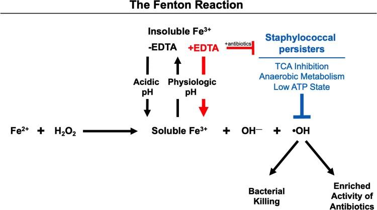 https://cdn.ncbi.nlm.nih.gov/pmc/blobs/4c0a/12138334/24e901daaec5/ofaf291f4.jpg