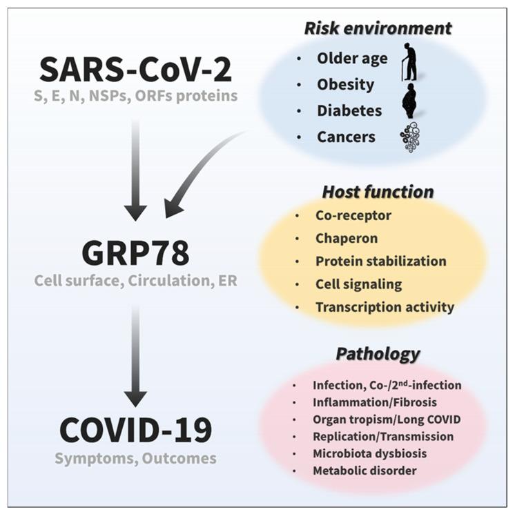 https://cdn.ncbi.nlm.nih.gov/pmc/blobs/4c0a/9406123/61d01b3850bd/biomedicines-10-01995-g005.jpg