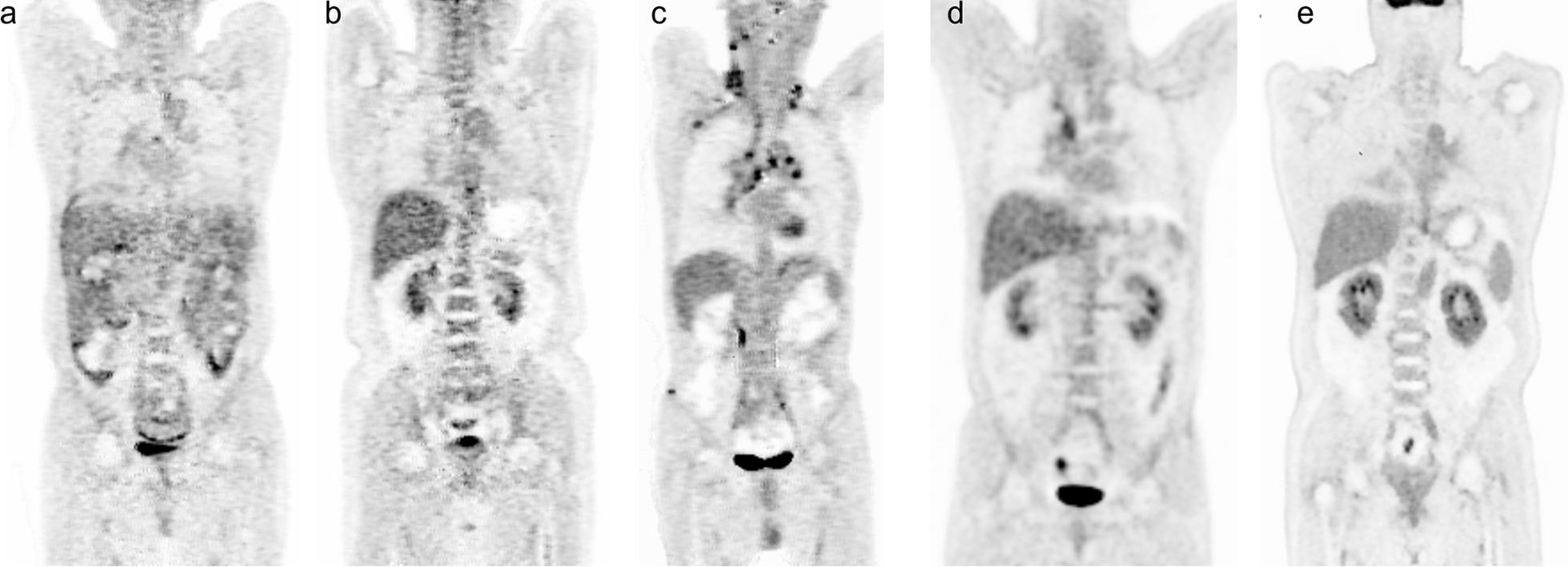 https://cdn.ncbi.nlm.nih.gov/pmc/blobs/4c0c/10243071/7740a49580b9/12880_2023_1017_Fig3_HTML.jpg