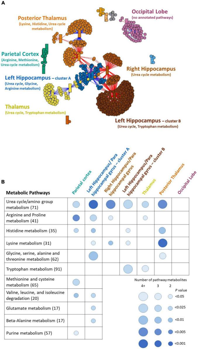 https://cdn.ncbi.nlm.nih.gov/pmc/blobs/4c0c/8822333/7cf1586f2593/fnagi-13-796067-g001.jpg