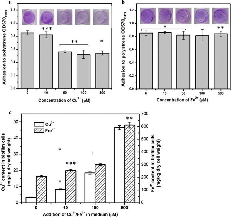 https://cdn.ncbi.nlm.nih.gov/pmc/blobs/4c0d/6375214/20c623acccb1/13068_2019_1359_Fig4_HTML.jpg