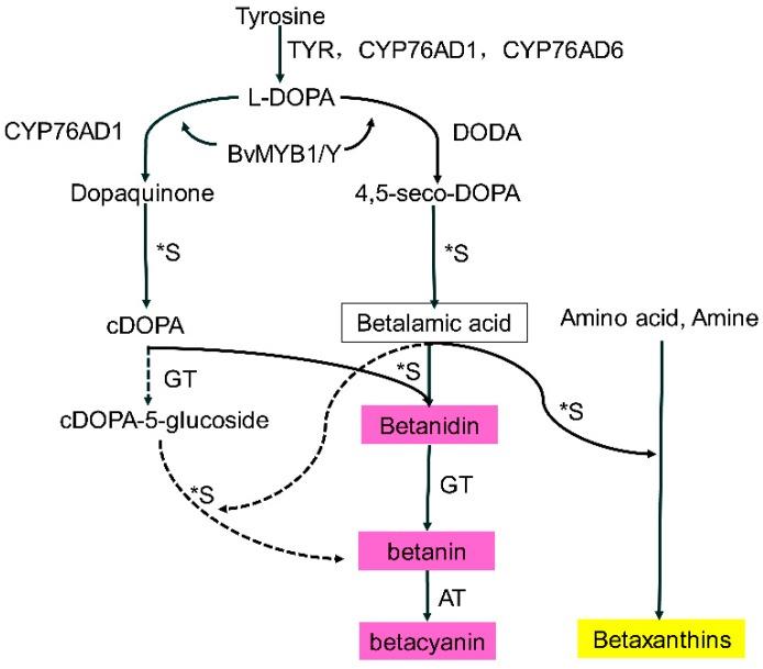 https://cdn.ncbi.nlm.nih.gov/pmc/blobs/4c11/6470951/667c870cdef0/molecules-24-01114-g001.jpg