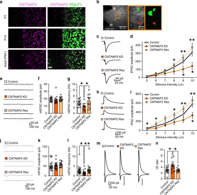 https://cdn.ncbi.nlm.nih.gov/pmc/blobs/4c11/7552417/50e49a923336/41467_2020_18861_Fig1_HTML.jpg