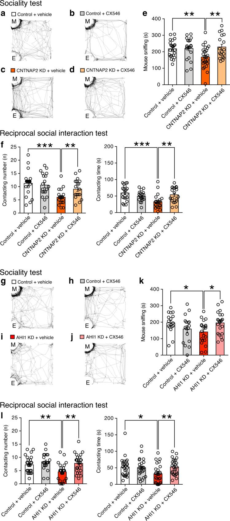 https://cdn.ncbi.nlm.nih.gov/pmc/blobs/4c11/7552417/69d391582938/41467_2020_18861_Fig6_HTML.jpg