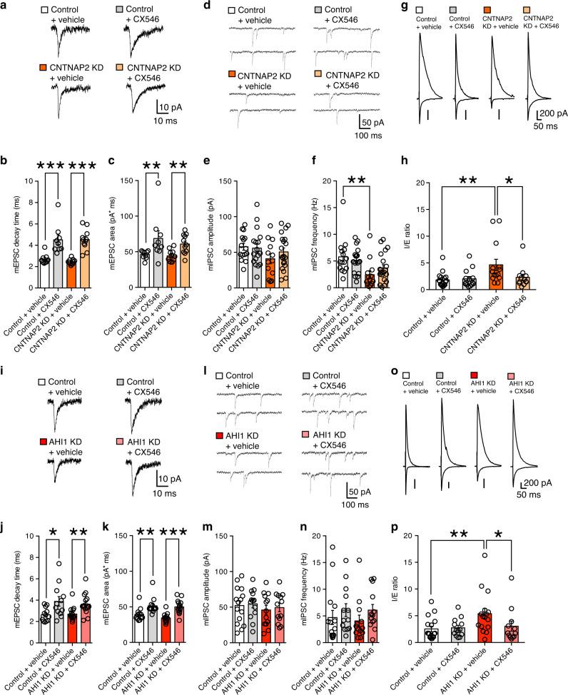 https://cdn.ncbi.nlm.nih.gov/pmc/blobs/4c11/7552417/886d561e6669/41467_2020_18861_Fig5_HTML.jpg