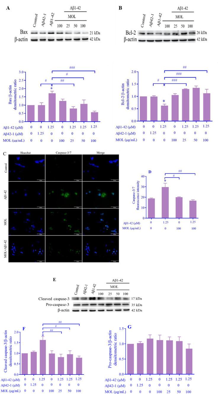 https://cdn.ncbi.nlm.nih.gov/pmc/blobs/4c13/11244708/9b0664d0af35/RPS-19-105-g005.jpg