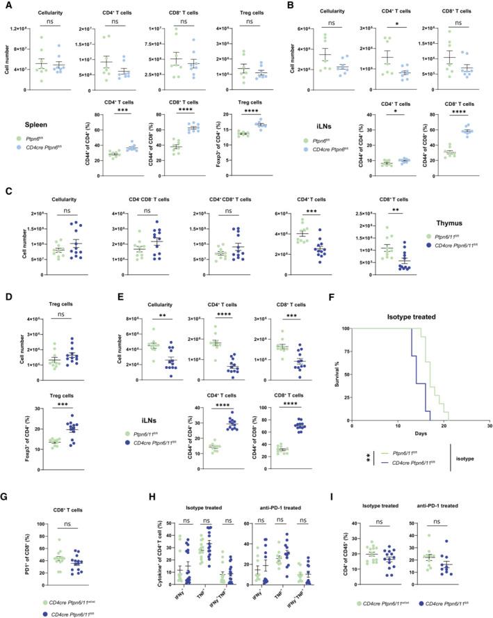 https://cdn.ncbi.nlm.nih.gov/pmc/blobs/4c14/9638855/1db9405918d2/EMBR-23-e55399-g003.jpg