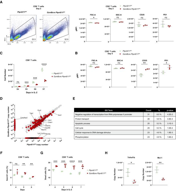 https://cdn.ncbi.nlm.nih.gov/pmc/blobs/4c14/9638855/b125ff6d7f35/EMBR-23-e55399-g001.jpg