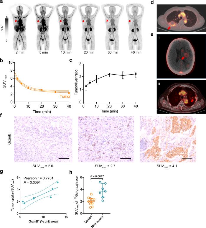 https://cdn.ncbi.nlm.nih.gov/pmc/blobs/4c16/11467221/6edbfb05180f/41467_2024_53197_Fig2_HTML.jpg