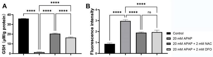 https://cdn.ncbi.nlm.nih.gov/pmc/blobs/4c16/12347875/dd4eb47fba44/ijms-26-07585-g003.jpg