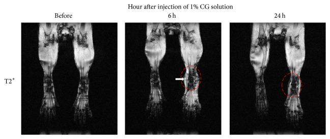 https://cdn.ncbi.nlm.nih.gov/pmc/blobs/4c16/5048043/bfe251ecc1e1/BMRI2016-1946585.003.jpg