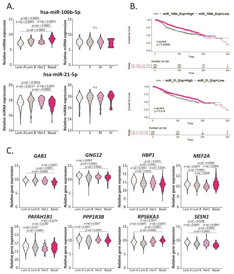 https://cdn.ncbi.nlm.nih.gov/pmc/blobs/4c16/8539154/a421c79117ab/ijms-22-11135-g005.jpg