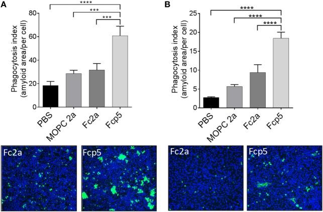 https://cdn.ncbi.nlm.nih.gov/pmc/blobs/4c17/5591422/6177c87e4cd9/fimmu-08-01082-g005.jpg