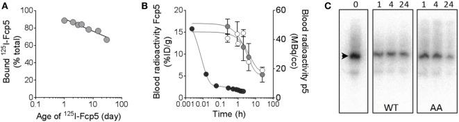 https://cdn.ncbi.nlm.nih.gov/pmc/blobs/4c17/5591422/6e141354d5ab/fimmu-08-01082-g006.jpg