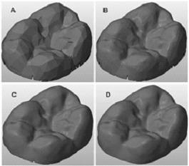 https://cdn.ncbi.nlm.nih.gov/pmc/blobs/4c19/5419237/3a0114a58dea/mjiri-30-461-g006.jpg