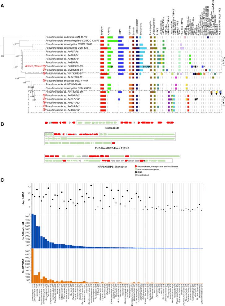 https://cdn.ncbi.nlm.nih.gov/pmc/blobs/4c1a/9903846/1b29fd5b258f/gr4.jpg