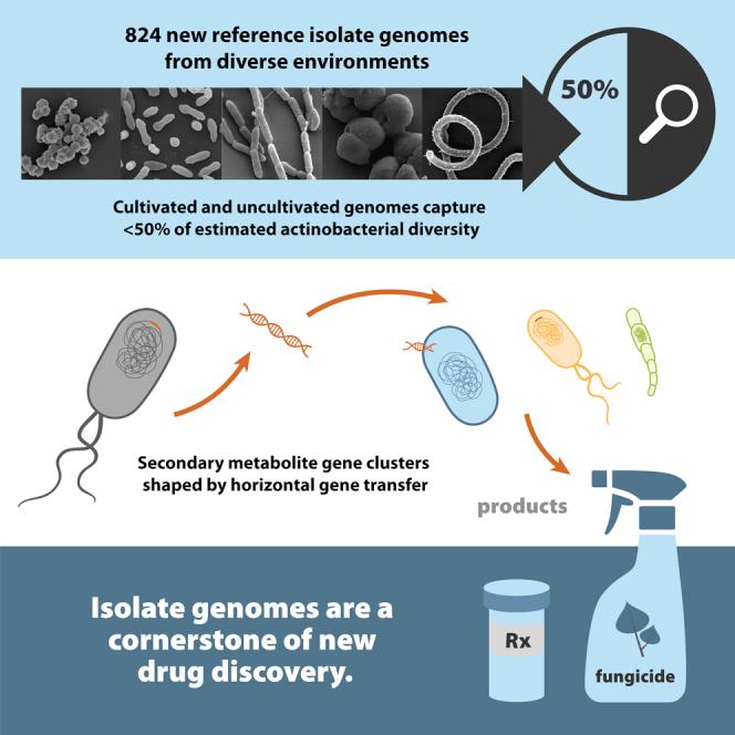 https://cdn.ncbi.nlm.nih.gov/pmc/blobs/4c1a/9903846/b1a4662c33fd/fx1.jpg