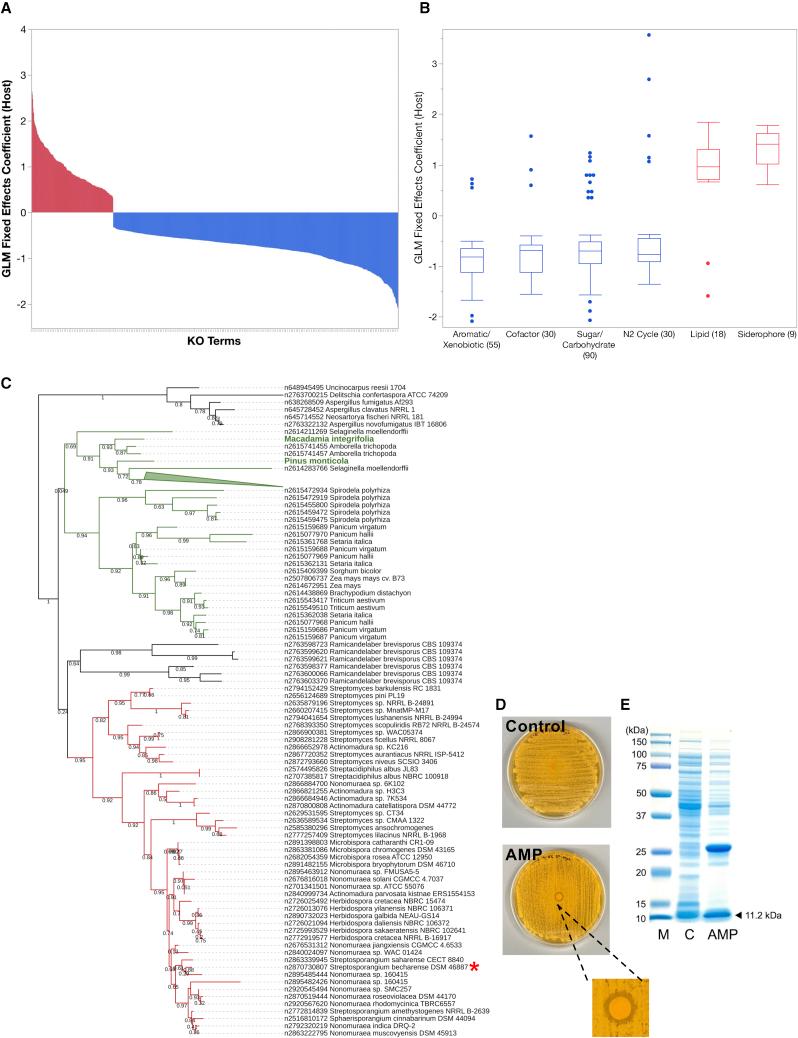 https://cdn.ncbi.nlm.nih.gov/pmc/blobs/4c1a/9903846/d23c9461da4f/gr2.jpg