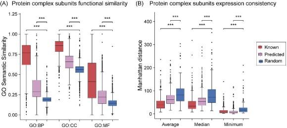 https://cdn.ncbi.nlm.nih.gov/pmc/blobs/4c1b/11162299/7b100613b011/bbae274f5.jpg
