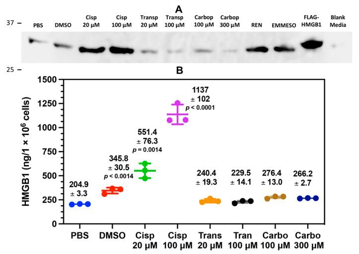 https://cdn.ncbi.nlm.nih.gov/pmc/blobs/4c1c/10526420/6d2527dcc8a9/biomolecules-13-01335-g002.jpg