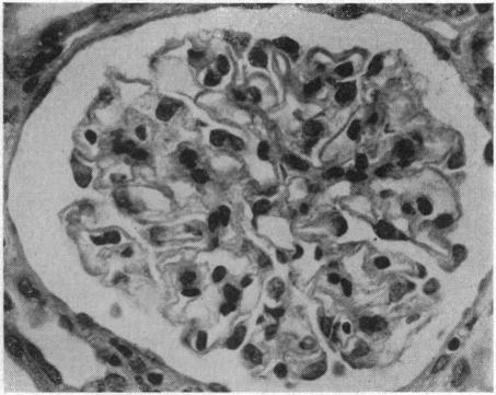 https://cdn.ncbi.nlm.nih.gov/pmc/blobs/4c1c/1503600/c589a0c94bc3/califmed00014-0026-a.jpg