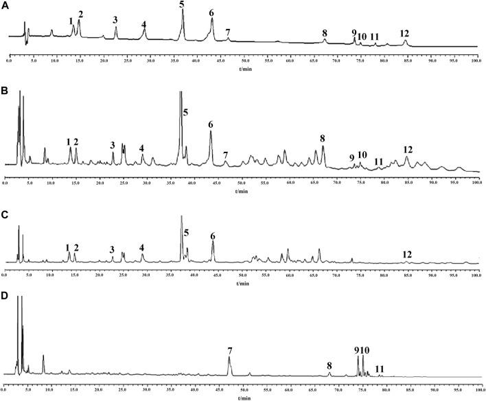 https://cdn.ncbi.nlm.nih.gov/pmc/blobs/4c1c/9780267/162597bd6cba/fphar-13-949757-g006.jpg