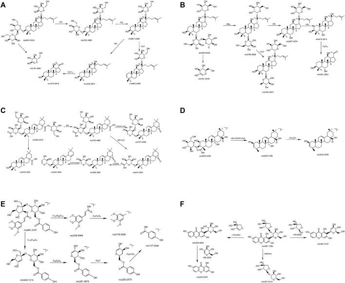 https://cdn.ncbi.nlm.nih.gov/pmc/blobs/4c1c/9780267/977605608ef0/fphar-13-949757-g003.jpg