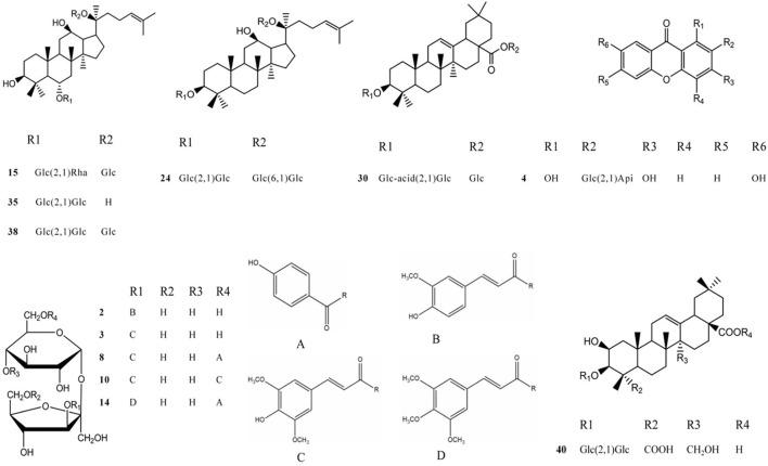 https://cdn.ncbi.nlm.nih.gov/pmc/blobs/4c1c/9780267/f83ccc1df024/fphar-13-949757-g005.jpg