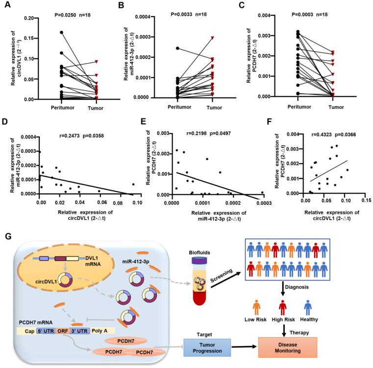 https://cdn.ncbi.nlm.nih.gov/pmc/blobs/4c1e/8898370/a05c9fc08d3a/ijbsv18p1491g008.jpg