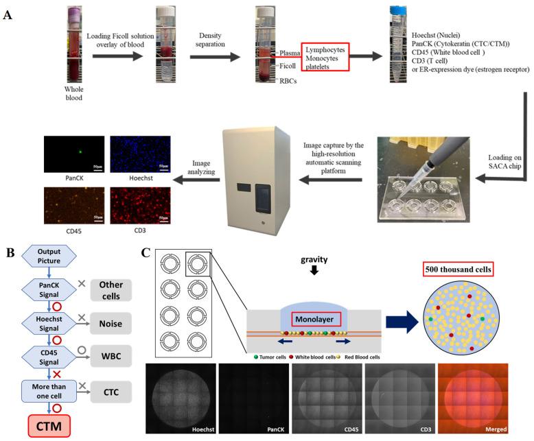https://cdn.ncbi.nlm.nih.gov/pmc/blobs/4c22/11431662/016baaa9967e/curroncol-31-00421-g001.jpg