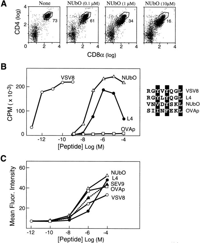 https://cdn.ncbi.nlm.nih.gov/pmc/blobs/4c23/2193488/daba3bc8cadc/JEM011091.f3.jpg