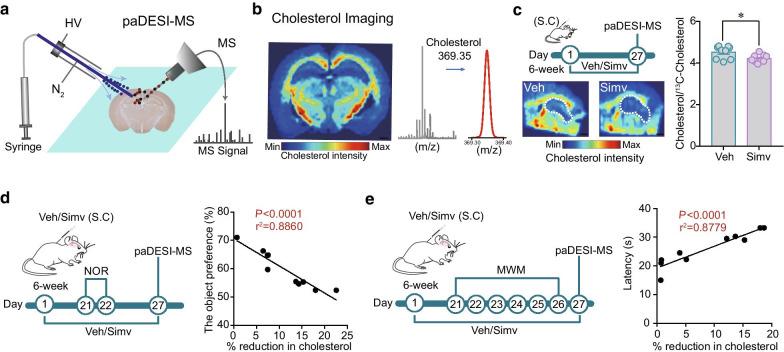 https://cdn.ncbi.nlm.nih.gov/pmc/blobs/4c23/7905661/7c56fb893f86/13041_2021_758_Fig3_HTML.jpg