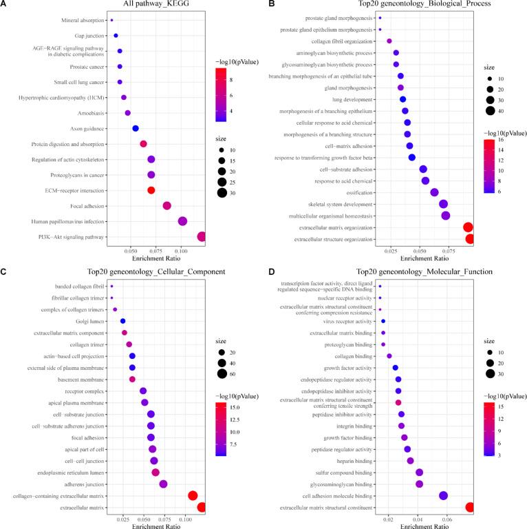 https://cdn.ncbi.nlm.nih.gov/pmc/blobs/4c28/11718302/acb09a8003d8/41598_2025_85255_Fig2_HTML.jpg