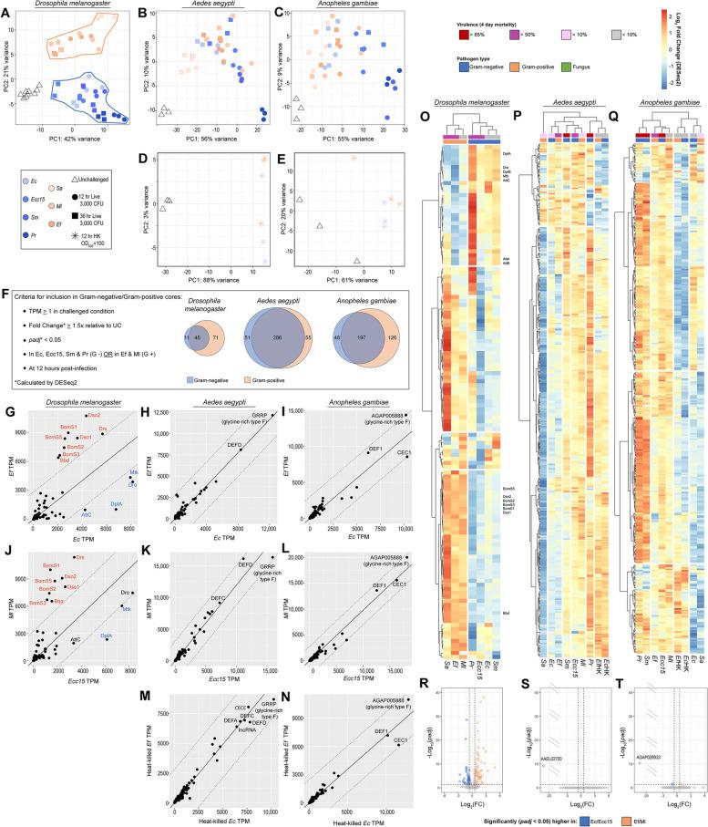 https://cdn.ncbi.nlm.nih.gov/pmc/blobs/4c29/11003161/58ecdc1697bc/12864_2024_10153_Fig4_HTML.jpg