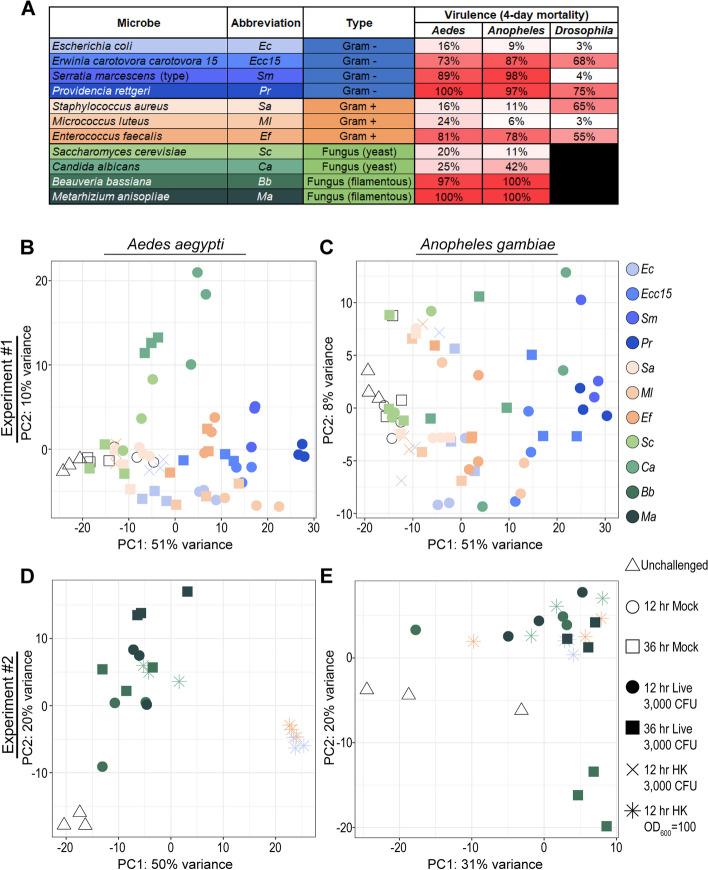 https://cdn.ncbi.nlm.nih.gov/pmc/blobs/4c29/11003161/d0d6f7d06016/12864_2024_10153_Fig1_HTML.jpg