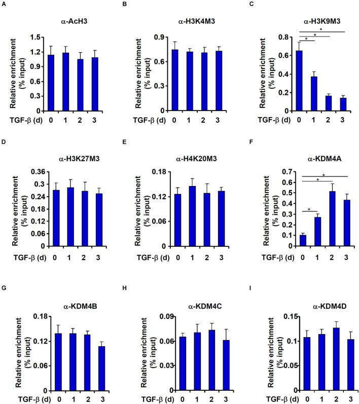 https://cdn.ncbi.nlm.nih.gov/pmc/blobs/4c2a/8493255/044ee30bd72b/fcell-09-697614-g004.jpg