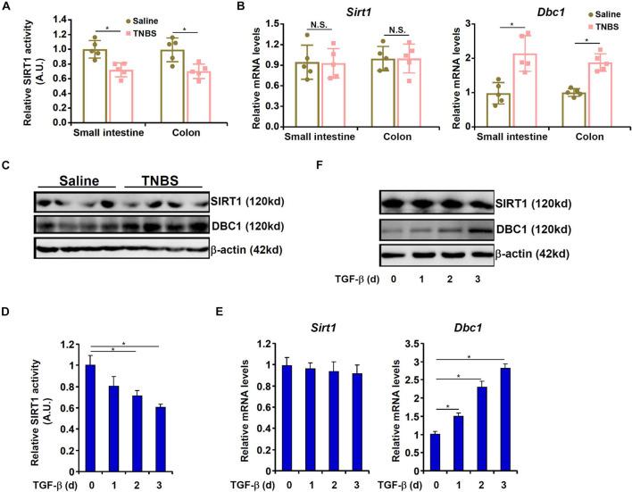https://cdn.ncbi.nlm.nih.gov/pmc/blobs/4c2a/8493255/1971e4330932/fcell-09-697614-g002.jpg