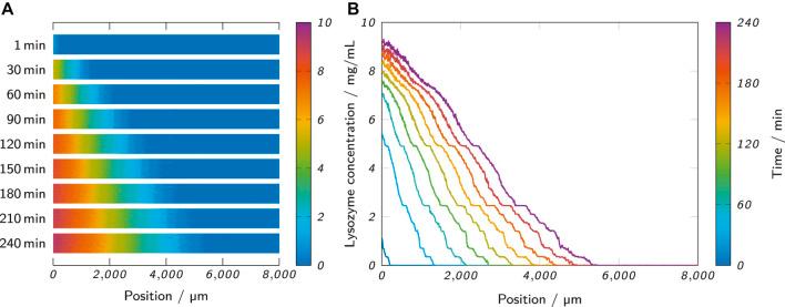 https://cdn.ncbi.nlm.nih.gov/pmc/blobs/4c2a/8957962/d2a21b2756ee/fbioe-10-849271-g004.jpg