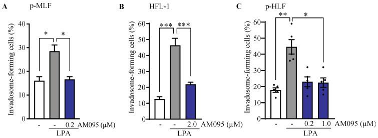 https://cdn.ncbi.nlm.nih.gov/pmc/blobs/4c2b/11240699/cb3615bf974b/cells-13-01152-g006.jpg