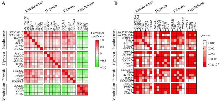 https://cdn.ncbi.nlm.nih.gov/pmc/blobs/4c2b/11240699/d872a2546d79/cells-13-01152-g004.jpg
