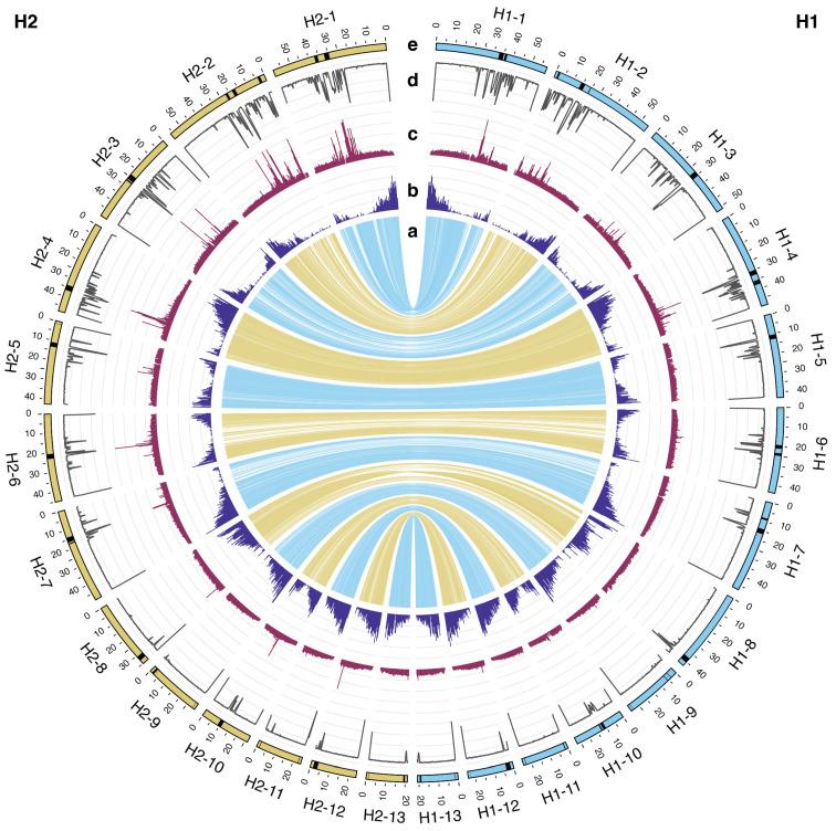 https://cdn.ncbi.nlm.nih.gov/pmc/blobs/4c2b/11722821/e60bdd540de7/plants-14-00124-g001.jpg