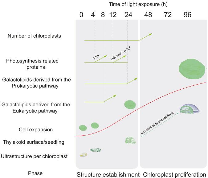 https://cdn.ncbi.nlm.nih.gov/pmc/blobs/4c2b/7906606/a4471b6b73e1/elife-62709-fig10.jpg