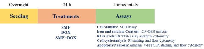 https://cdn.ncbi.nlm.nih.gov/pmc/blobs/4c2c/11977194/1a17a4f8bcb8/41598_2025_96802_Fig1_HTML.jpg