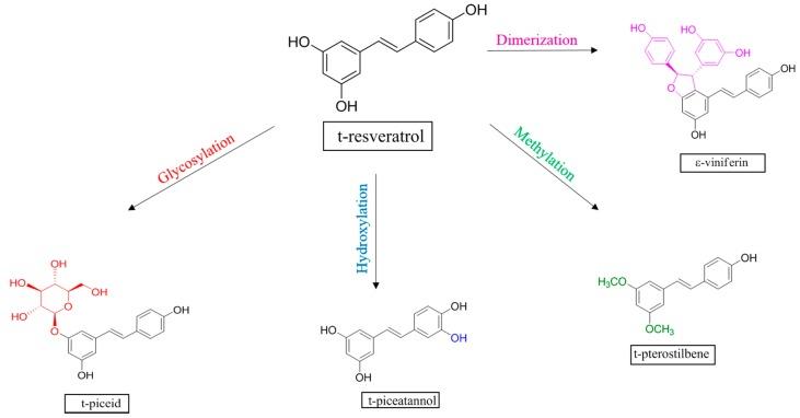 https://cdn.ncbi.nlm.nih.gov/pmc/blobs/4c2e/6155428/69a79f788b48/molecules-22-00418-g001.jpg
