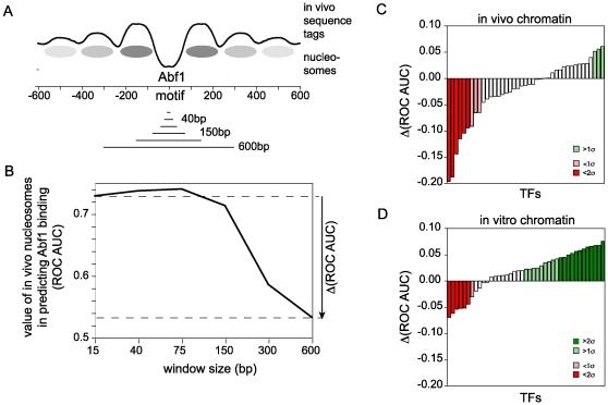 https://cdn.ncbi.nlm.nih.gov/pmc/blobs/4c30/2799660/4a7377808b47/pcbi.1000649.g004.jpg