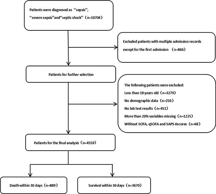 https://cdn.ncbi.nlm.nih.gov/pmc/blobs/4c33/7720497/c6b0e7f4273c/12967_2020_2620_Fig1_HTML.jpg