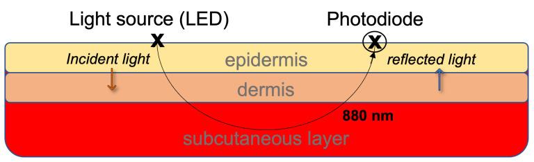 https://cdn.ncbi.nlm.nih.gov/pmc/blobs/4c35/10057625/6b49d72d48a7/sensors-23-03319-g001.jpg